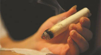 【艾灸知識】春暖花開，衣衫漸薄，再不減肥，身上的肉肉可藏不住了！
