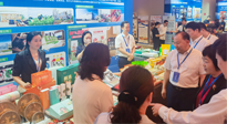 【行業(yè)資訊】南陽攜超千款名優(yōu)產(chǎn)品在廣州開展產(chǎn)銷對接，仙草艾首次亮相大灣區(qū)！