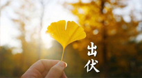 【艾灸三伏天】出伏啦！三防三宜兩穴位，防止身體“秋后算賬”！
