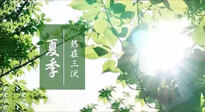 【艾灸三伏天】今年三伏不一般，仙草小助理建議大家早作準備哦！