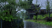 【艾灸知識】多雨的日子里，艾灸會不會加重濕氣呢？
