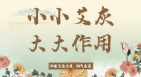 【艾草知識】艾灰真是個巨好用的東西，?它的神奇功效，你知道多少？
